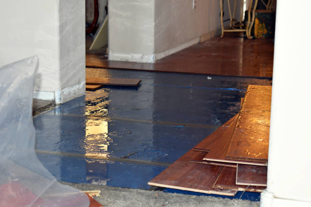 Professional Burst Pipe Cleanup technician working in Oak View, CA